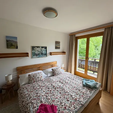 Haus Romana Apartment